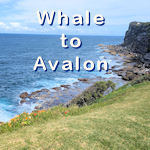 Whale to Avalon